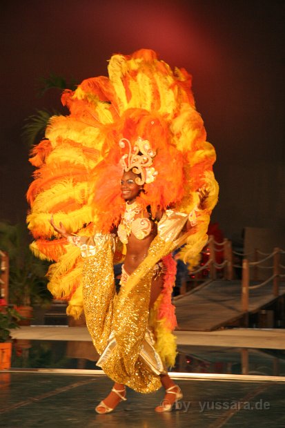 Brasil Show (84)